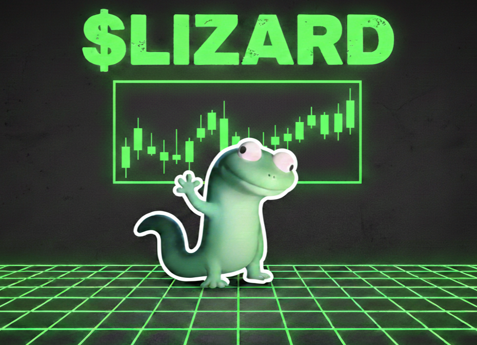 Lizard checking charts